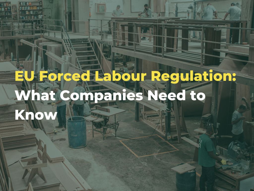 EU Forced Labour Regulation: What Companies Need to Know | TDi ...