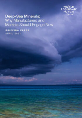 DSM Briefing paper 2 cover