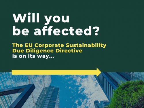 The EU Corporate Sustainability Due Diligence Directive (CSDDD) | TDi ...